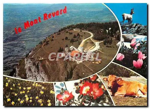 Cartes postales moderne Le Mont Revard Savoie