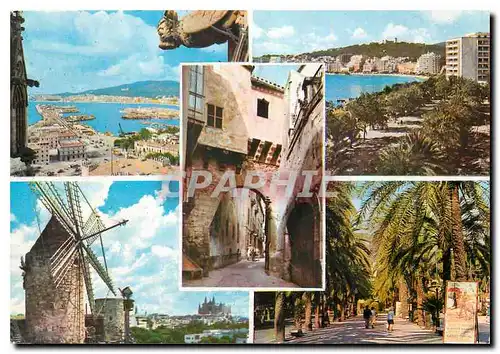 Cartes postales moderne Palma Mallorca