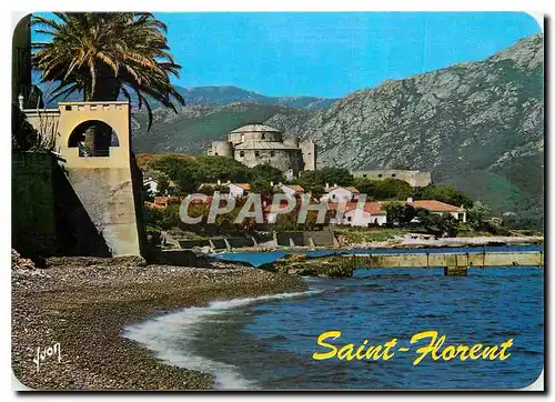 Cartes postales moderne Couleurs et Lumiere de France La Corse Oasis de Beaute Saint Florent Corse Dominant le Port et l