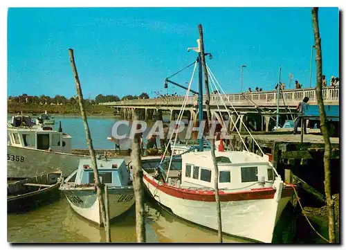 Cartes postales moderne L'Aiguillon sur Mer Vendee Le port a l'arriere plan la passerelle des pecheurs amateurs Peche Ba