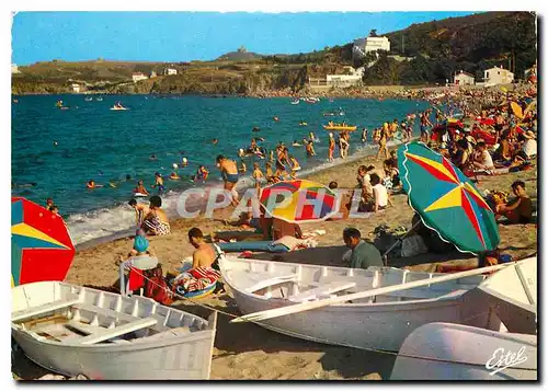 Cartes postales moderne La Cote Vermeille Argeles sur Mer Pyrenees Orientales Le Racou et sa Plage