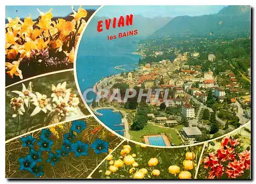 Cartes postales moderne Evian les Bains Haute Savoie