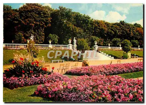 Cartes postales moderne Couleurs et Lumiere de France Paris Jardin et Terrasse du Palais du Luxembourg