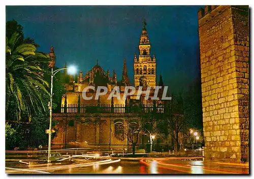 Cartes postales moderne Sevilla Cathedrale et Giralde de nuit