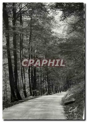 Cartes postales moderne Les Alpes Route et foret de Chartreuse