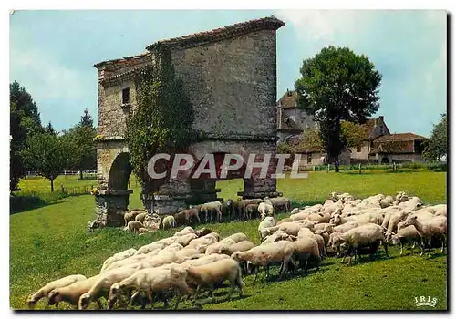 Moderne Karte Un Pigeonnier Moutons