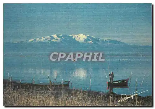 Cartes postales moderne L'etang de Canet St Nazaire et le Canigou