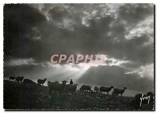 Cartes postales moderne Gorges du Tarn Coucher de soleil sur le Causse Mejean