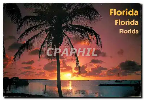 Cartes postales moderne A Breathtaking view is not uncommon in Florida