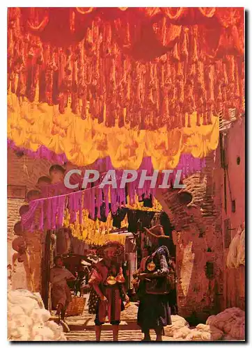 Cartes postales moderne Sortileges et Couleurs dans les Souks de Marrakech