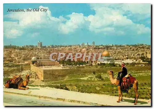 Cartes postales moderne Jerusalem la Vieille Ville vue du Mont des Oliviers