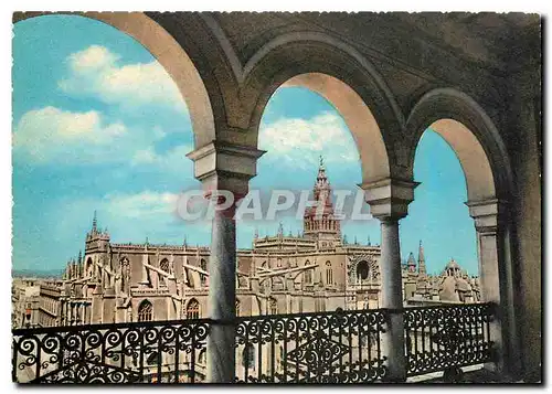 Cartes postales moderne Sevilla Cathedrale