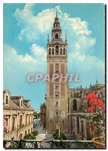 Cartes postales moderne Sevilla Tour la Giralda