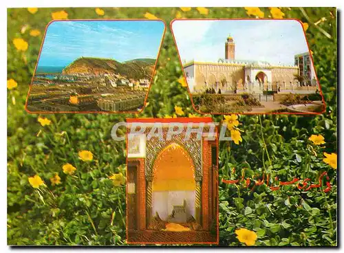 Cartes postales moderne Souvenir de Chazaouet