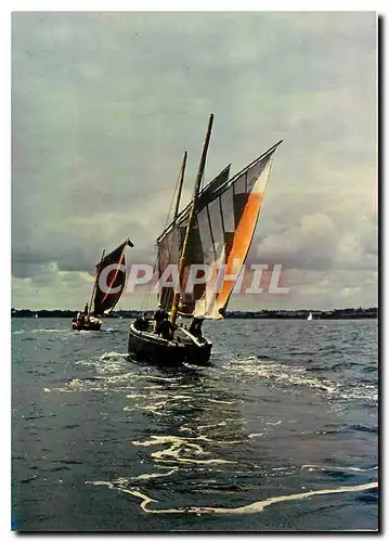 Cartes postales moderne Bateaux de Plaisance Voiliers Les Sinagots pirates du Golfe du Morbihan