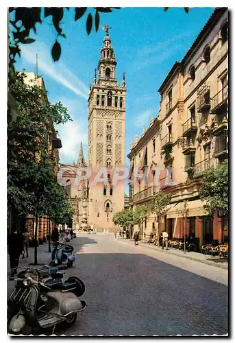 Cartes postales moderne Sevilla Tour La Giralda