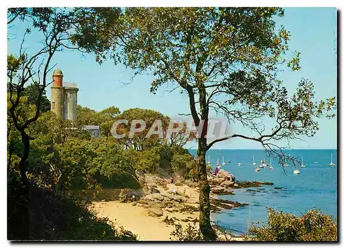 Cartes postales moderne Noirmoutier en l'Ile l'Anse Rouge prise du Bois de la Chaize