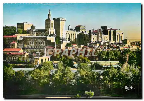 Moderne Karte Avignon Vaucluse Le Pont Saint Benezet et le Palais des Papes