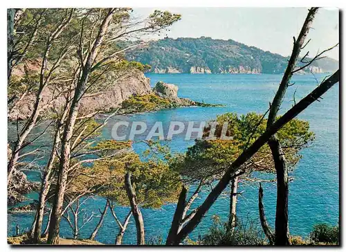 Cartes postales moderne Hyeres les Palmiers la Presqu'Ile de Giens