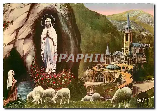 Cartes postales moderne Lourdes La Basilique et l'Apparation