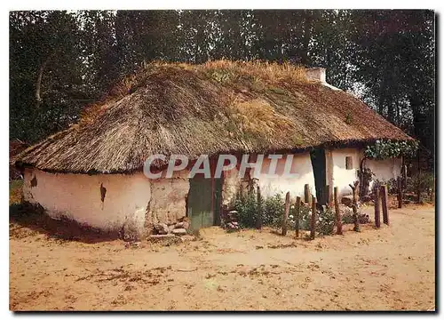 Cartes postales moderne Au Pays de Monts