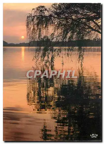 Cartes postales moderne l'etang reflete Profond miroir La Sihouette