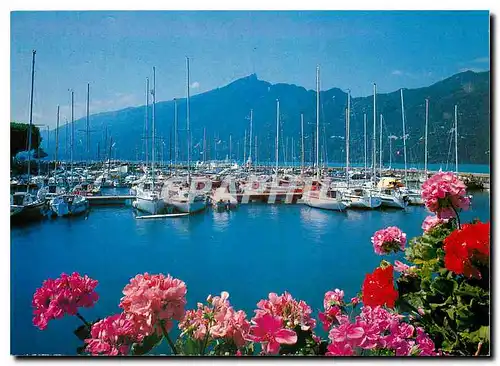 Cartes postales moderne Aix les Bains Savoie Le Lac de Bourget le Grand Port et la Dent du Chat