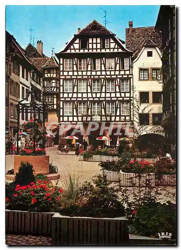 Cartes postales moderne Strasbourg Bas Rhin La place du marche aux cochons de lait