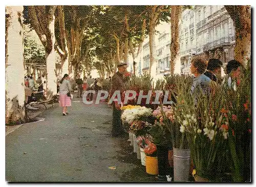 Moderne Karte Beziers Herault Marche aux fleurs sur les allees Paul Riquet