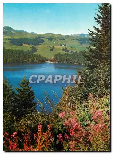 Cartes postales moderne l'Auvergne touristique Le Lac Pavin Au fond le Massif du Sancy