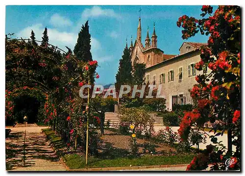 Cartes postales moderne La Cote d'Azur Nice La Roseraie dans les jardins du Monastere de Cimiez