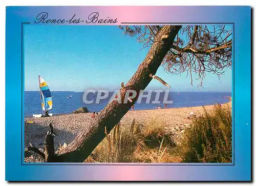 Cartes postales moderne Ronce les Bains Le Galon d'Or