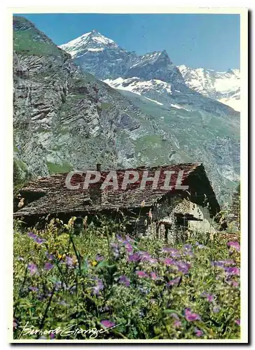 Cartes postales moderne Bernard Grande