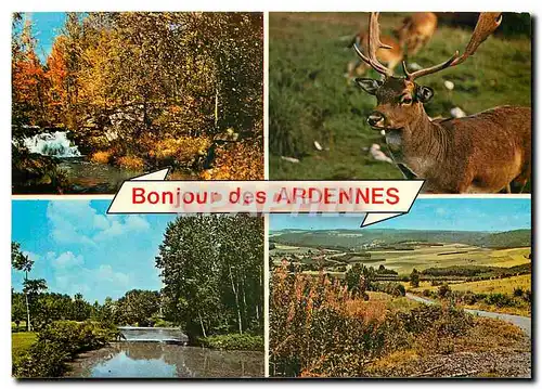 Cartes postales moderne Bonjour des Ardennes Cerf