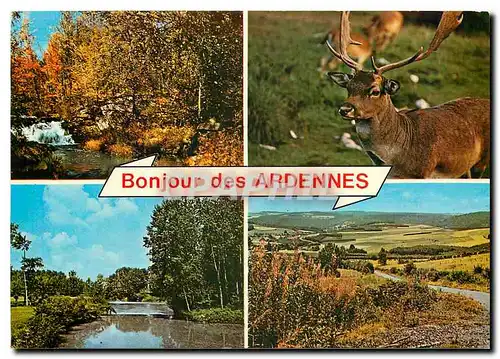 Moderne Karte Bonjour des Ardennes Cerf