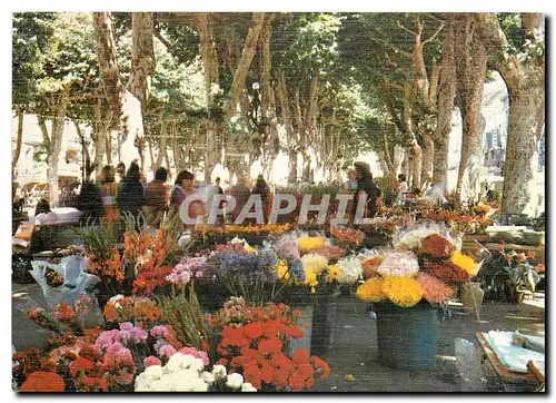 Cartes postales moderne Beziers Herault Le marche aux fleurs sur les allees