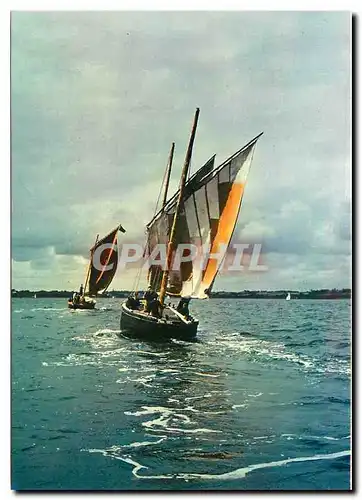 Cartes postales moderne Bateaux de Plaisance Voiliers Les Sinagots pirates du Golfe du Morbihan