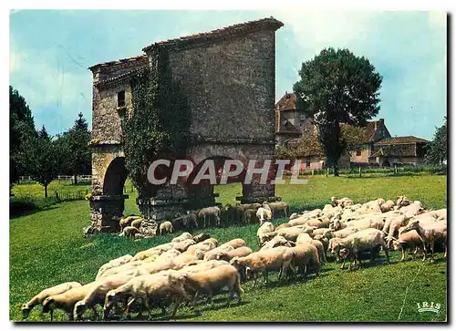 Moderne Karte Le Tot Terre des Merveilles Vieux pigeonnier Quercinois Moutons