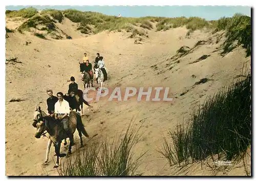 Cartes postales moderne A Cheval Dans les Dunes