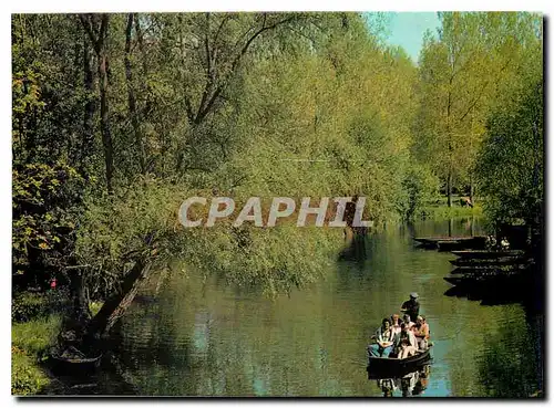 Moderne Karte Vue Typique du Marais Poitevin