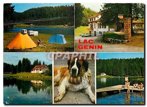 Moderne Karte Le Lac Genin Ain