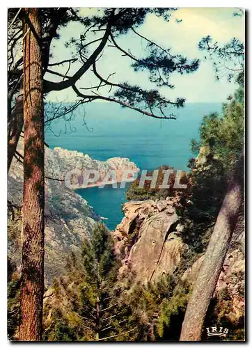 Cartes postales moderne Charmes et Couleurs de la Corse Des Montagnes de Porphyres roses qui plongent dans la mer telles