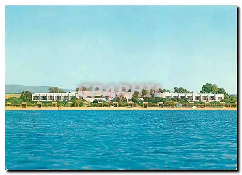 Cartes postales moderne Hotel Les Orangers Hammamet Tunisie