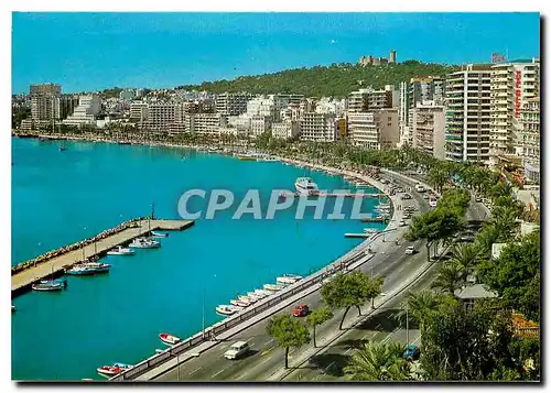 Cartes postales moderne Mallorca Beleares Espana Palma