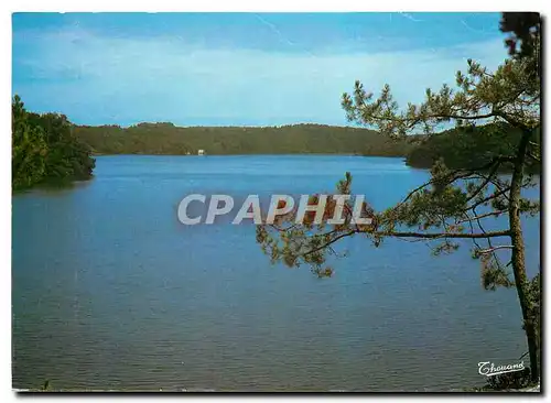 Cartes postales moderne Les Landes Lac d'Yrieu a Labenne