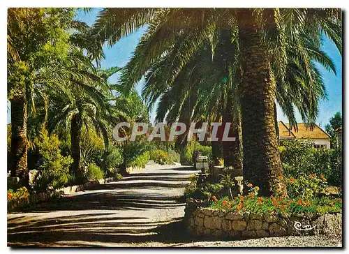 Cartes postales moderne Boulouris Var Allee des Campotels