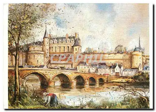 Cartes postales moderne Chateau d'Amboise