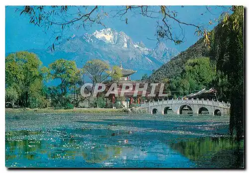 Cartes postales moderne Black Dragon Pool