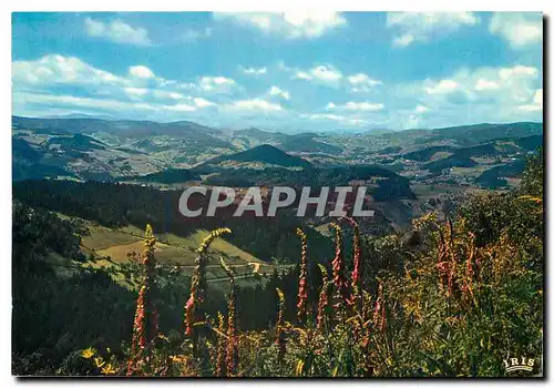 Cartes postales moderne Les Vosges Pittoresques Vue panoramique sur les sommets