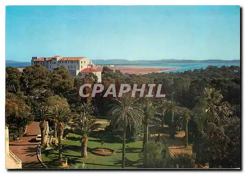 Cartes postales moderne Hopital leon Berard Hyeres Le Pavillon Mont Clair vu du pavillon Felix Berard